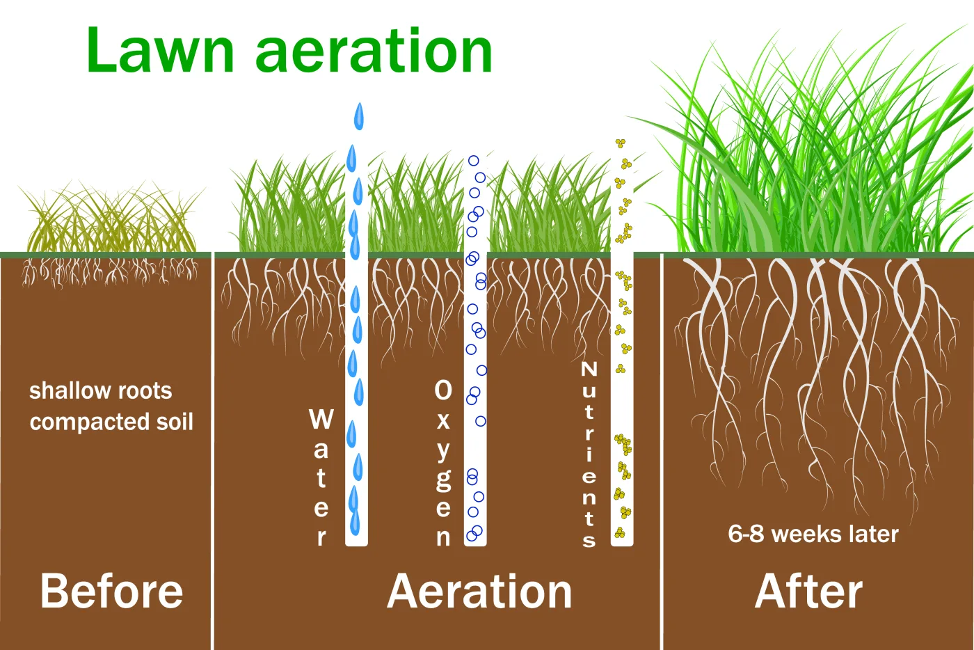 Lawn aeration in Elizabeth Colorado