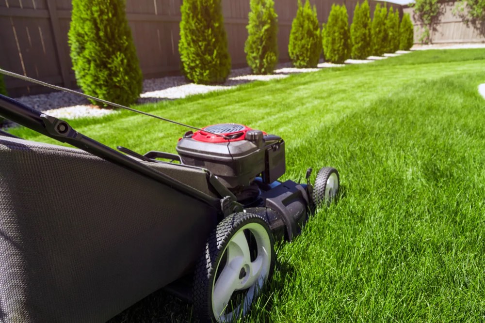 Lawn mowing service in Elizabeth Colorado