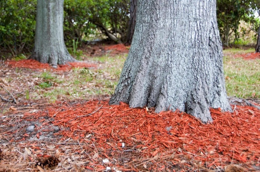 Landscaping and mulch installation in Elizabeth Colorado