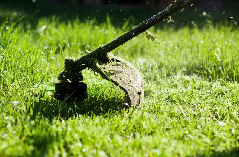 lawn mowing service Elizabeth Colorado residential yard