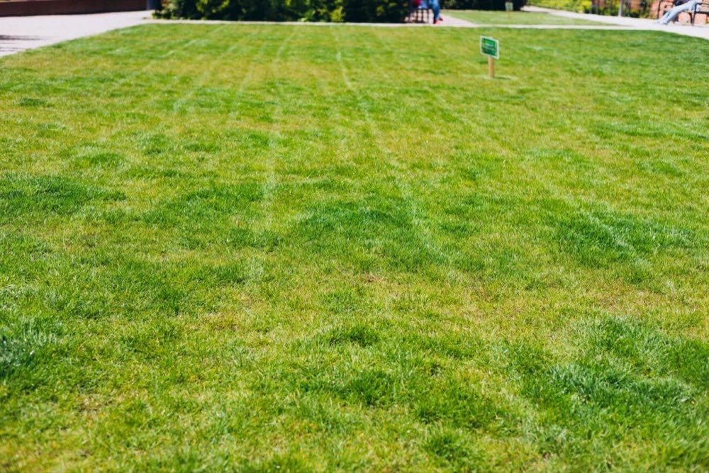 Lawn being power raked in Elizabeth, Colorado